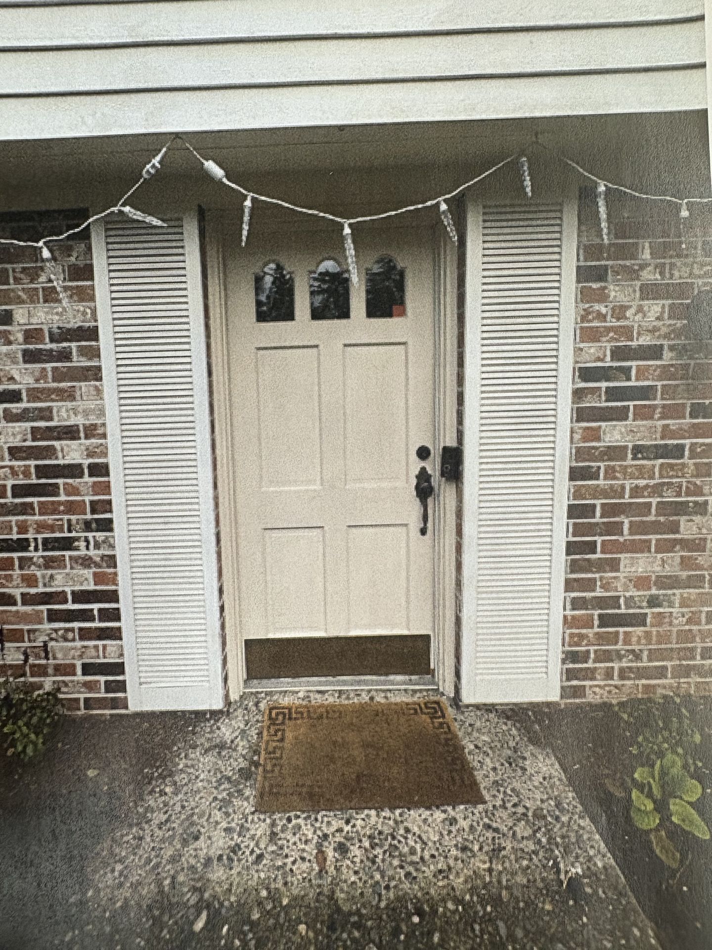 Entry Doors project photo 3